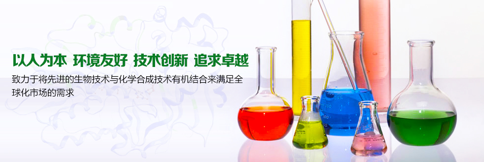 以人為本 環(huán)境友好 技術(shù)創(chuàng)新 追求卓越